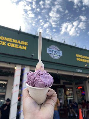 Huckleberry ice cream