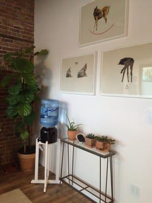 Art and plants!