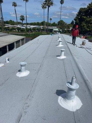 Our Mobile home new beautiful roof