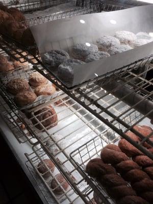 Donuts at Tastee!