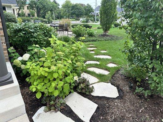 Step stones are bright white