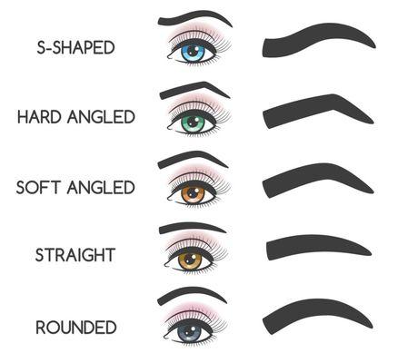 Different shaped eyebrow.