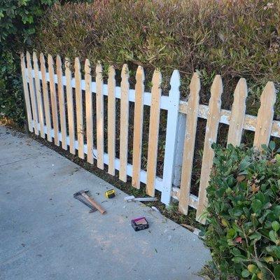 Picket fence painted in white by Miguel Perez Painting