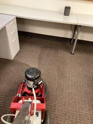 We Love Carpet Cleaning!