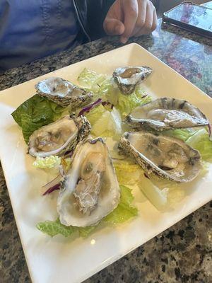 Oysters