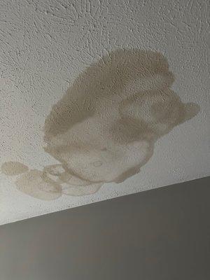 Sick water stain that gets bigger everytime it rains even though they've "fixed the ceiling"