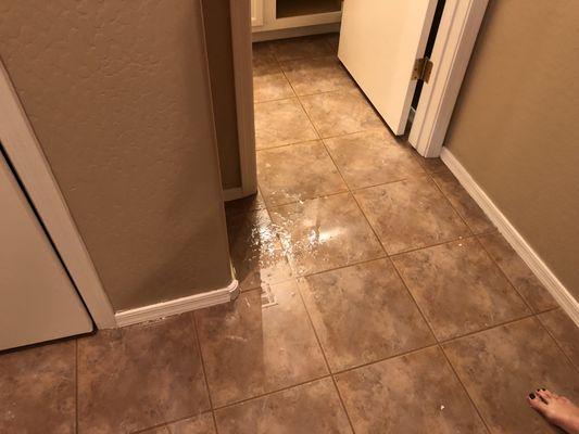 Water puddle in front of hallway caused by water damage