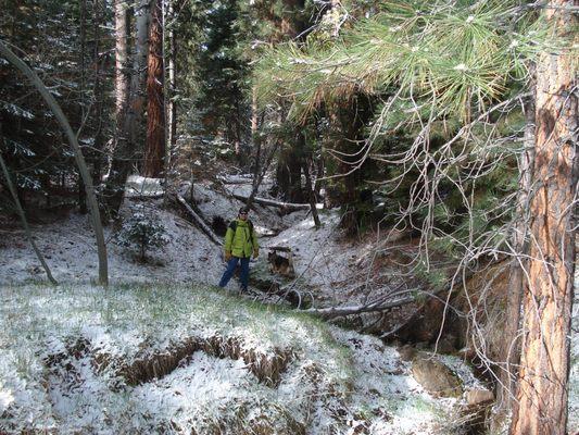 I got this Gore Tex jacket at Sierra Trading Post, long ago.