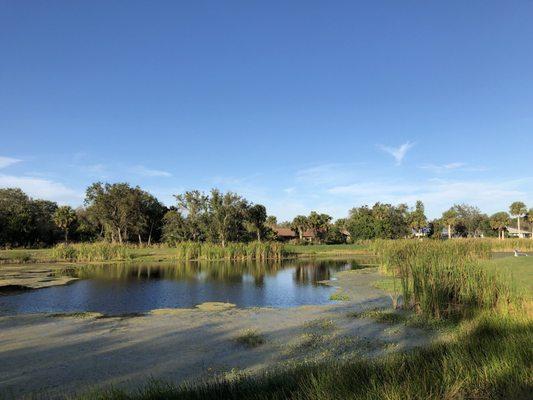 Sweetwater Hammock Preserve