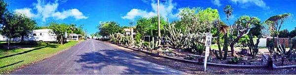 Front entrance at Oleander Acres RV Resort