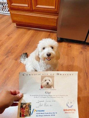 How could you not love this 3rd photo of Gigi and her certificate? CUTIE PATOOTIE!