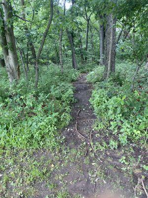 Trails at Clinton Lake