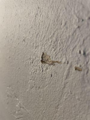 Damaged plaster