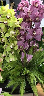 Cymbidiums in green & pink