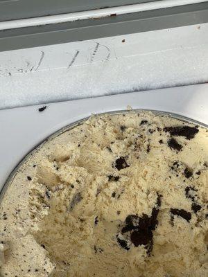 There is a bug near the ice cream