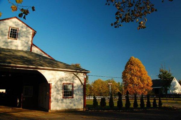 Autumn at The Village Farm