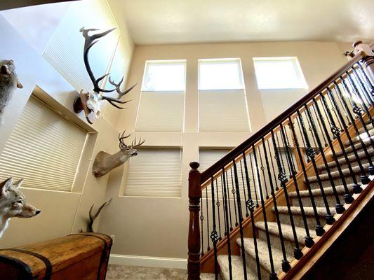 Fresh paint in this open space vaulted staircase.