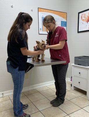 Deep Roots Animal Clinic