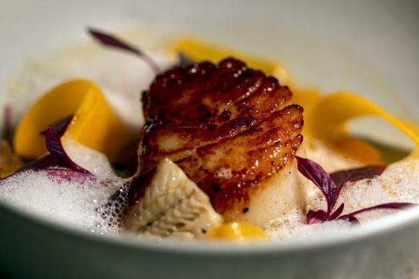 SAINT JACQUES scallop,