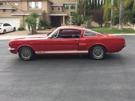 1966 Shelby