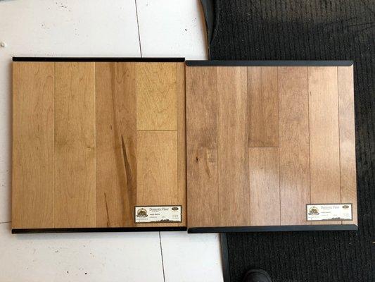 Sample board showing the color variation and character of hard maple