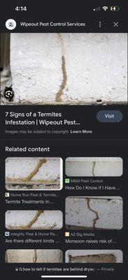 Google image of examples of the same type of termite damage shown in the picture from the report.