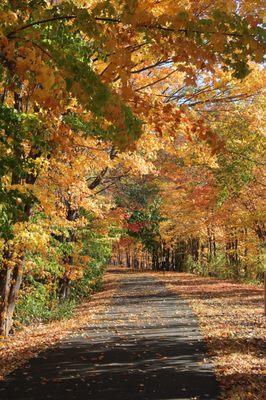 Walk and talk on the Goshen Trail