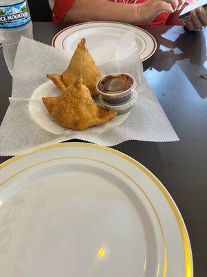 Best Vegetable Samosa I've ever had!