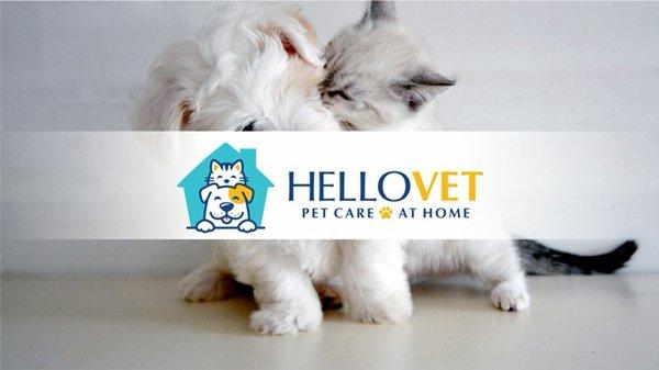 HelloVet - Pet Care at Home