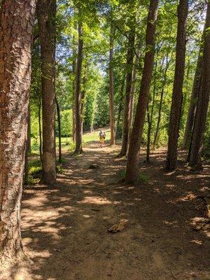 Robert C Bradford Park, Hole 1 of the disc golf course