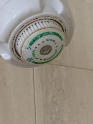 Not hard to clean a shower head, but they seem to be unable to do so