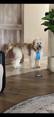 Hudson showing his brother his new tie.