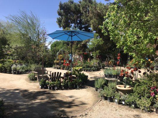 Robby's Nursery & Calico Gardens