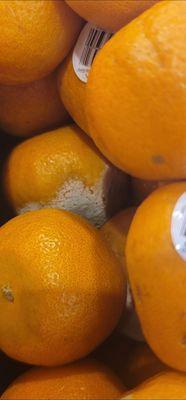 Bad oranges, should be discarded