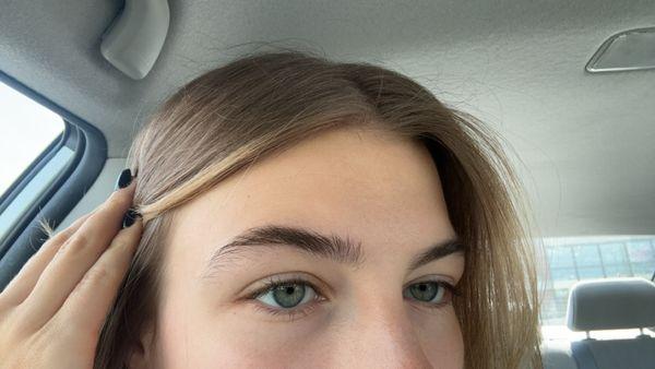 Before brows