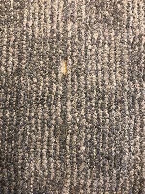 Carpet seems