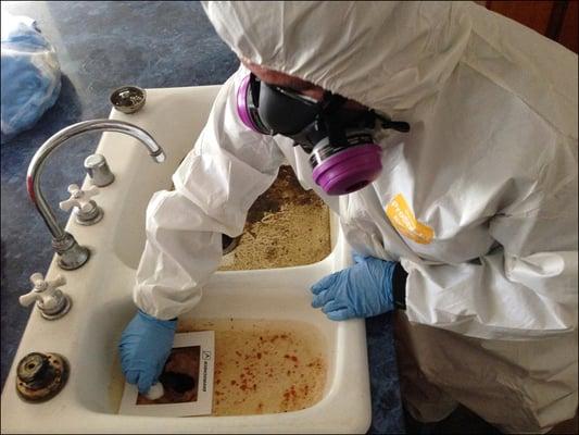 ENVIROCHECK's certified technicians collect samples including asbestos, mold, lead, bacteria, smoke & soot and methamphetamine.