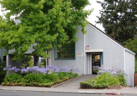 Our office in Sebastopol