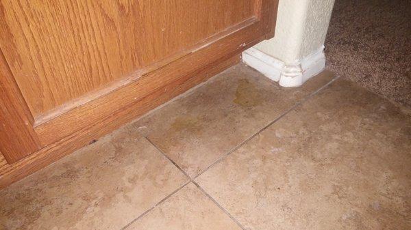 Dog pee on the floor. Never cleaned before we moved in.