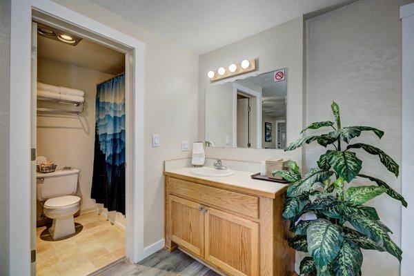 Many double rooms have the bathroom counter outside of the shower/toilet space to allow others to get ready with the shower/toilet is in use