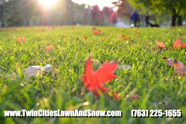 Twin Cities Lawn and Snow