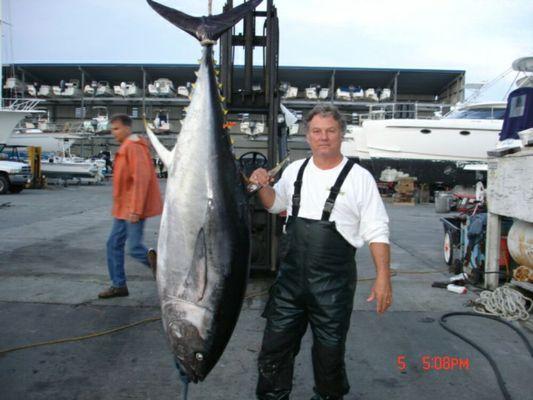 Big BlueFin Tuna Fishing with Wise Fishing Charters