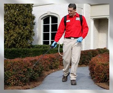 Honorguard Pest Control Services is the best in pest control in Nashville, TN helping homes and business with pest and mold p...