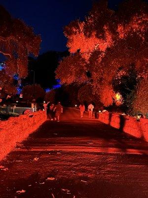 The Spooky Jack's Trail. Nights of the Jack is a 3/4 mile Spooky Meandering Walking Trail @ King Gillette Ranch In Calabasas October 2023