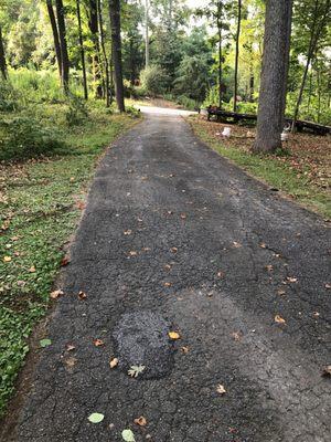 The rest of the driveway.