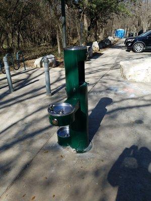 Filtered water fountain and dog water fountain