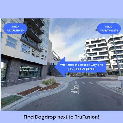 Find Dogdrop next to TruFusion at 9+CO (9th and Colorado)