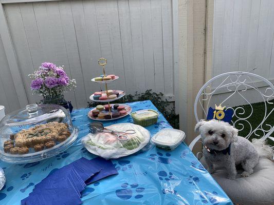 Paw cake and pumpkin claws for Captain Davy Bone's birthday.