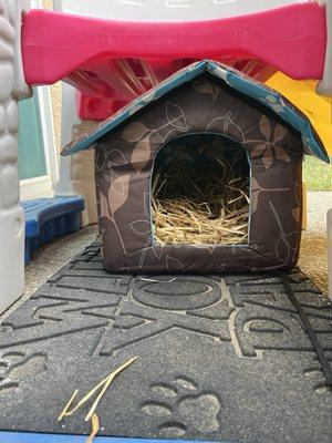 Here is some of the straw we put in one of feral kitty shelters.