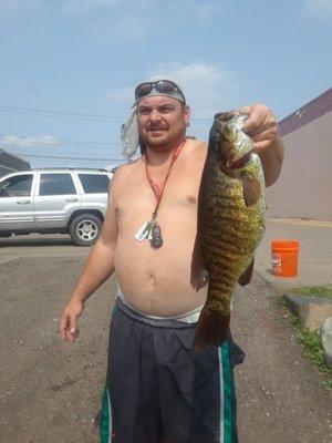 Yellow spinnerbaits with gold blades